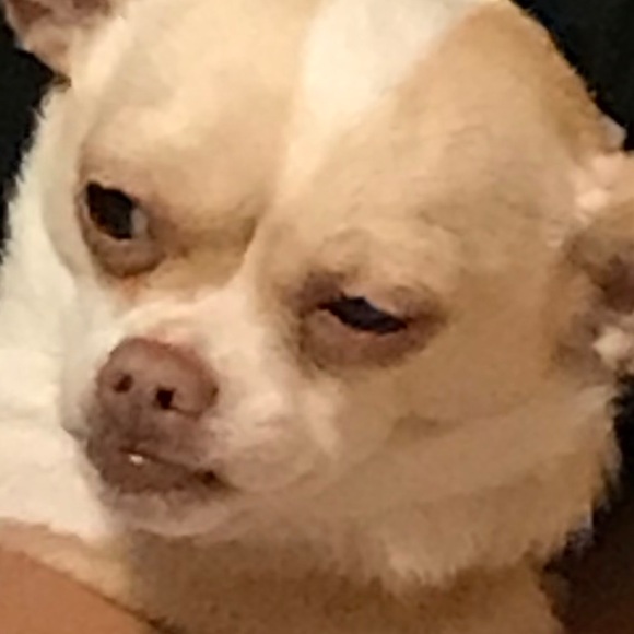 Meet your Posher, David - Picture 1 of 1